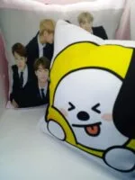 almohadones personalizados - Imagen 3